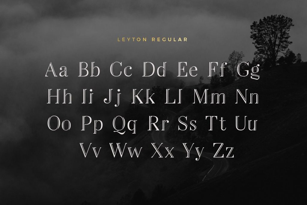 Leyton Typeface Font Family Free Download
