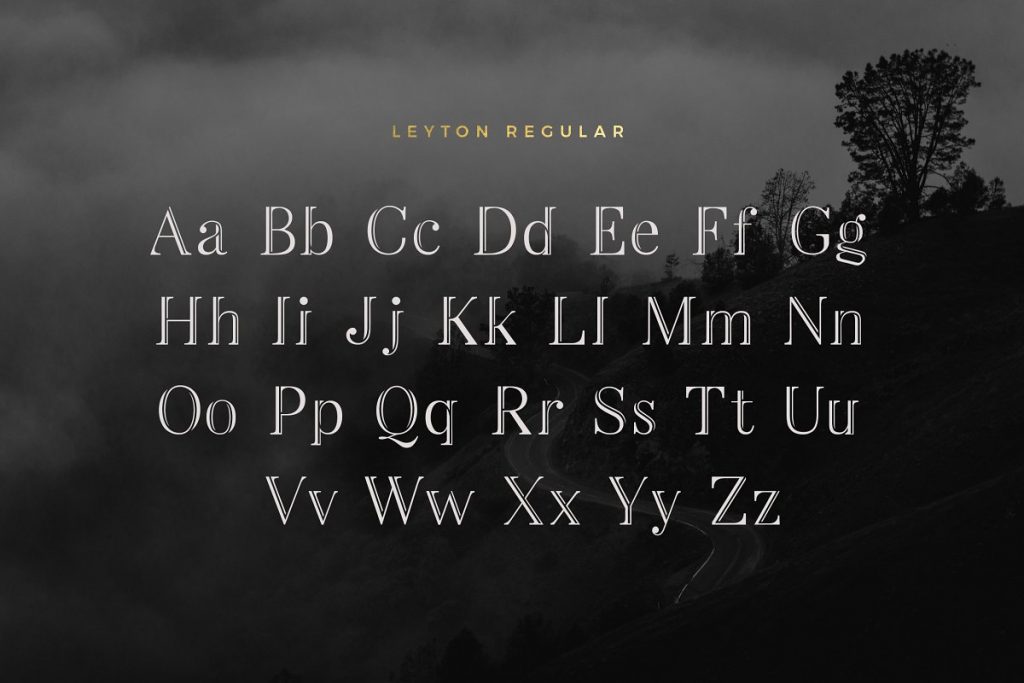 LeytonTypeface 2 - Post