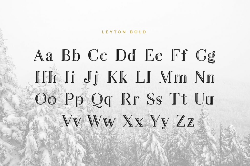 LeytonTypeface 9 - Post