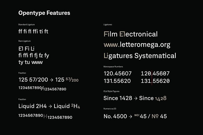 Neufile Grotesk 4 - Post