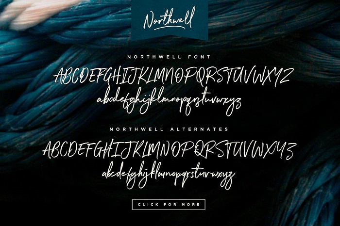 Northwell Font Family Free Download