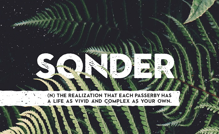 Sonder free modern fonts - Post