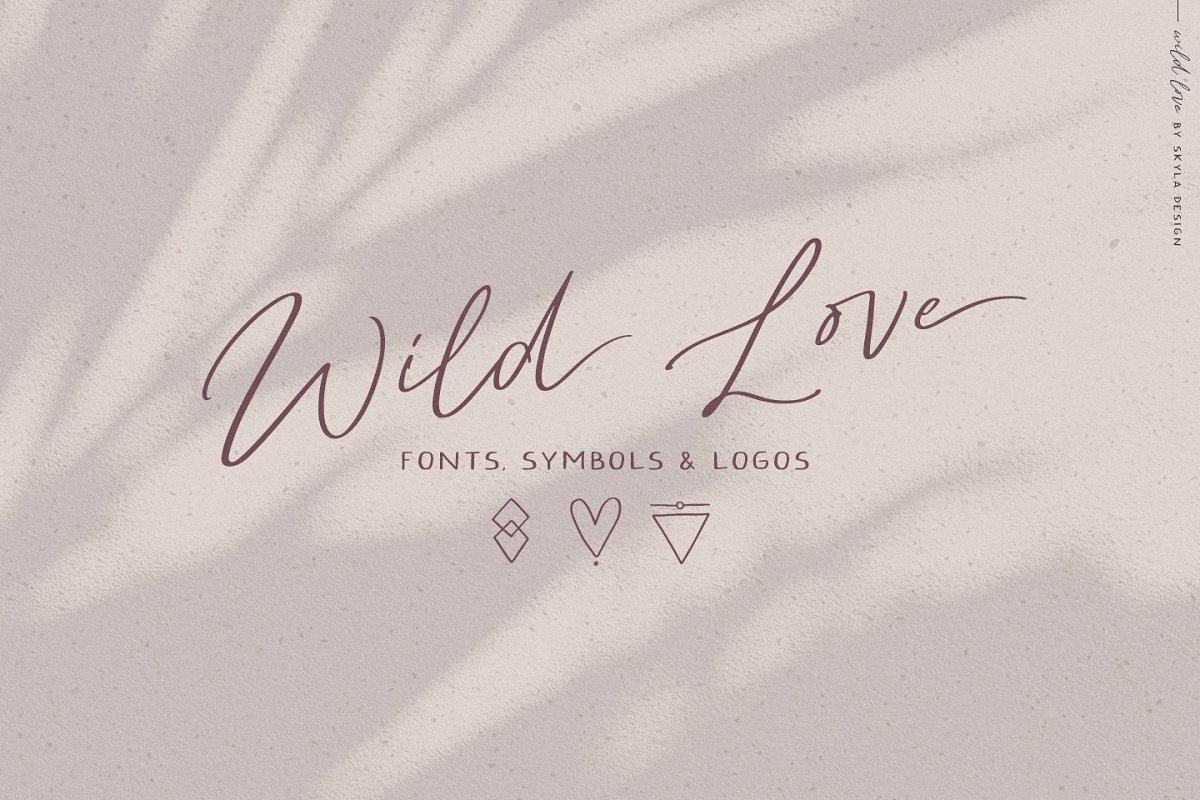 Wild Love Font Family Free Download