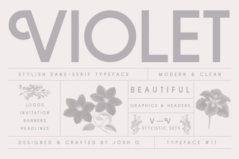 Violet A Stylish Sans Serif Font Family Free Download