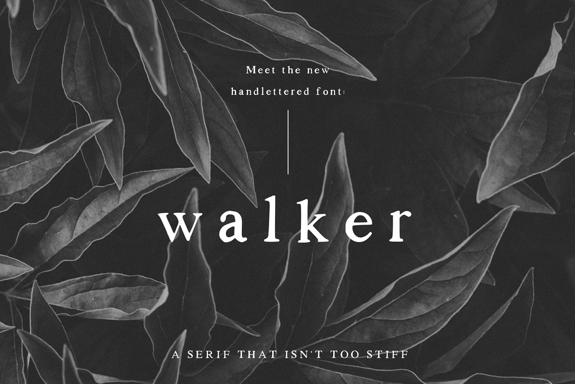 Walker A Handlettered Serif Font Family Free Download