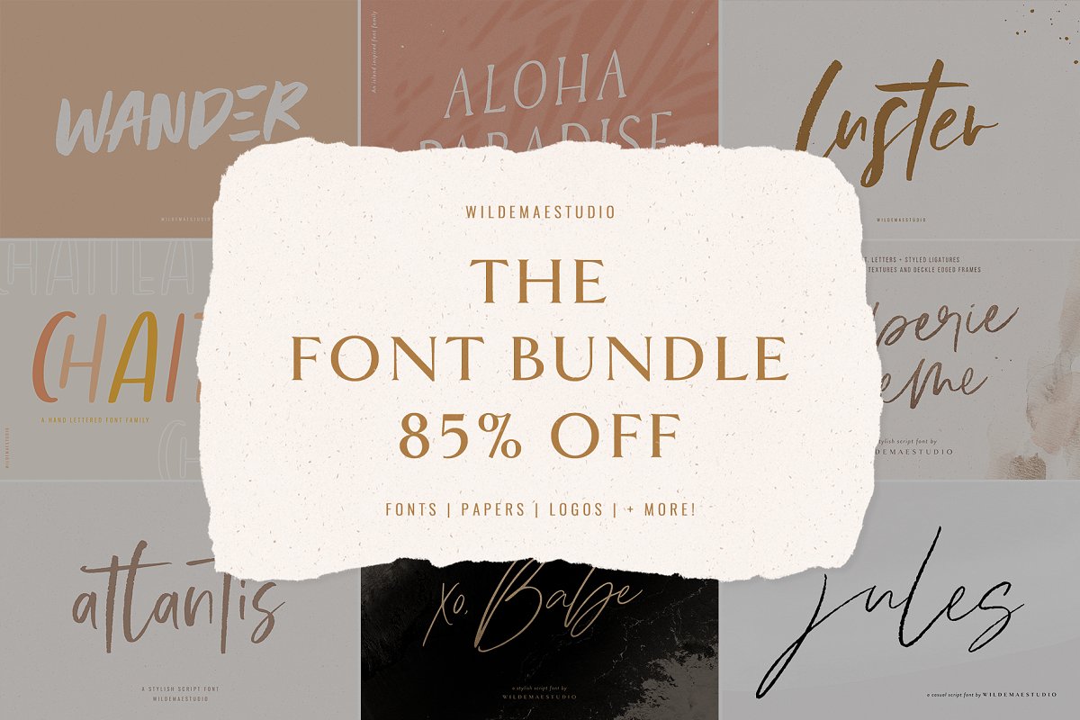 The Font Bundle by Wilde Mae Studio Free Download