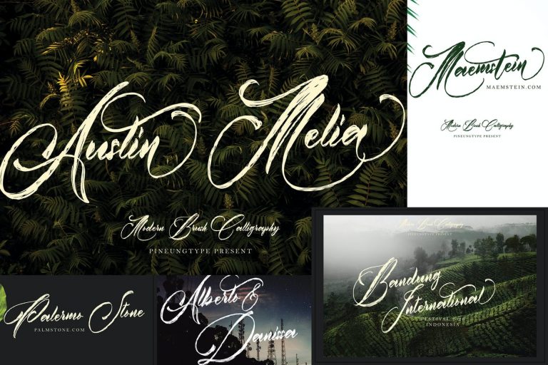 Austin Font Family Free Download