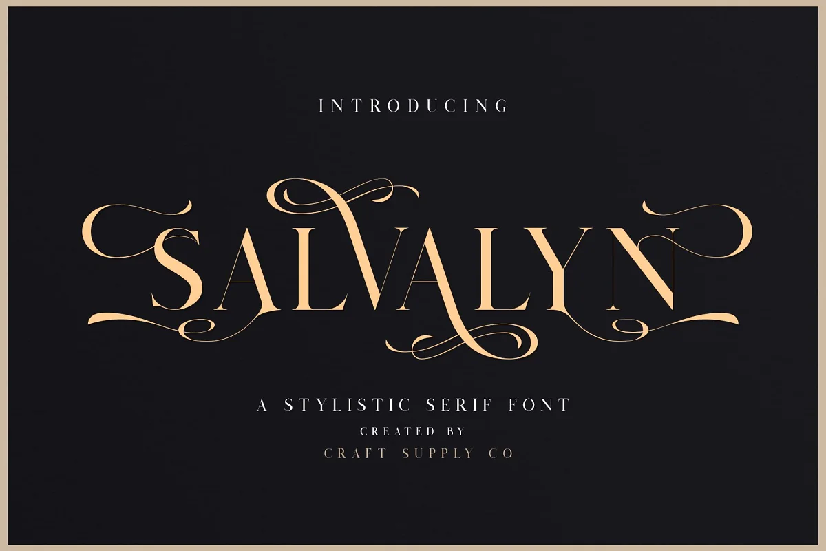 Salvalyn Stylistic Serif Font