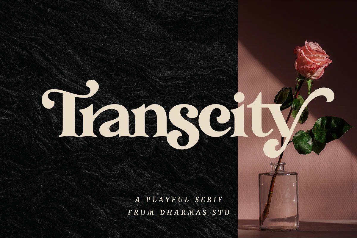 Transcity A Playful Serif Font