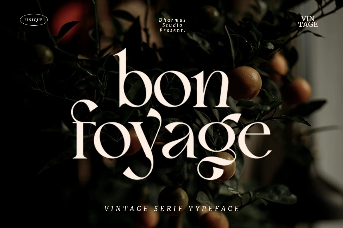 Bon Foyage Vintage Modern Serif Font