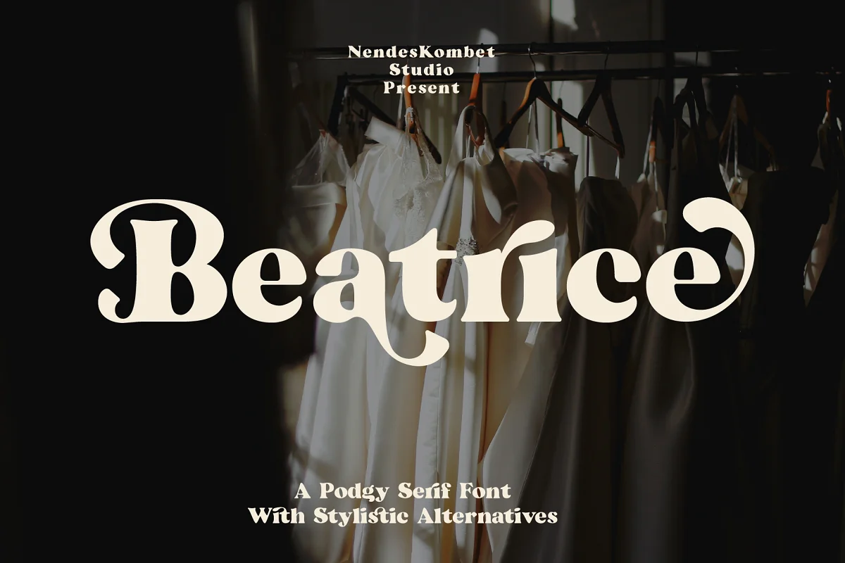 Beatrice Retro Serif Font