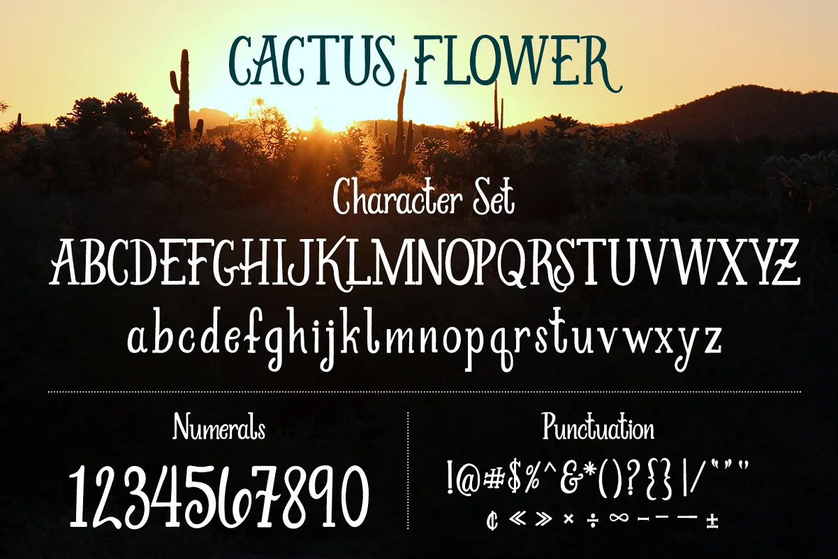 cactusflower2 - Post