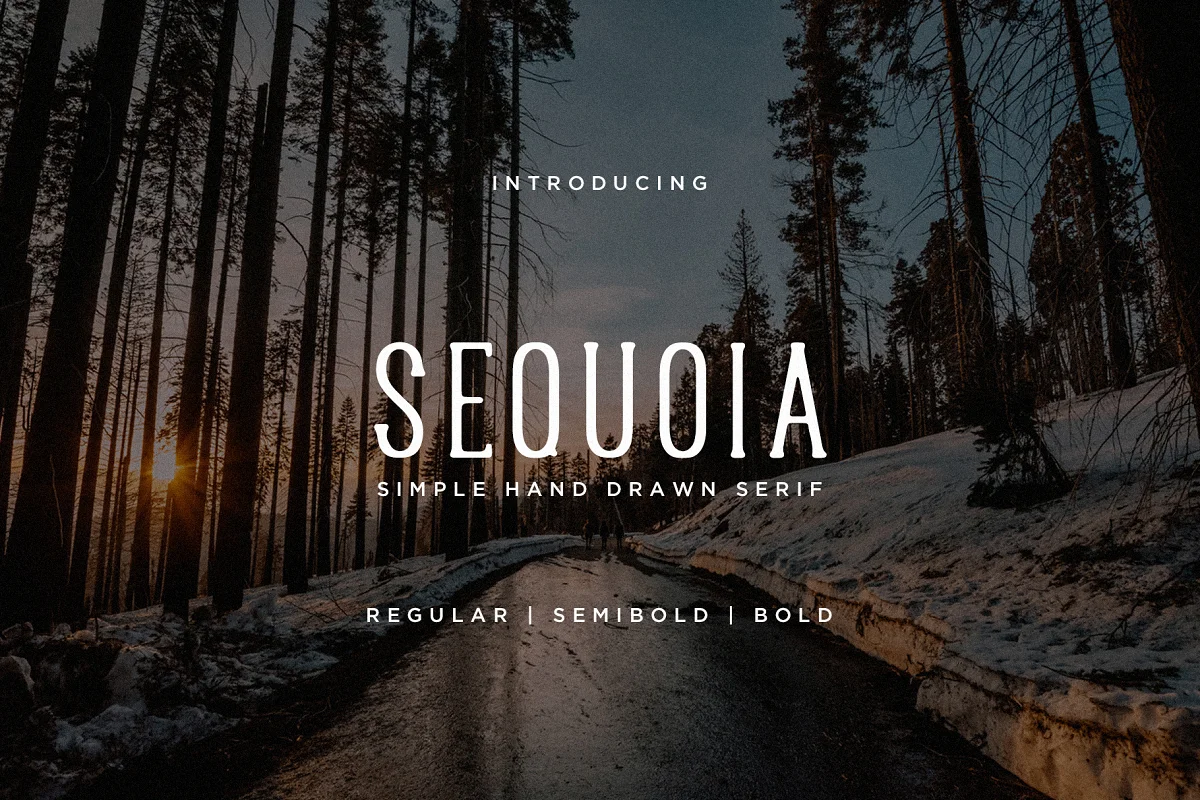 Sequoia Font