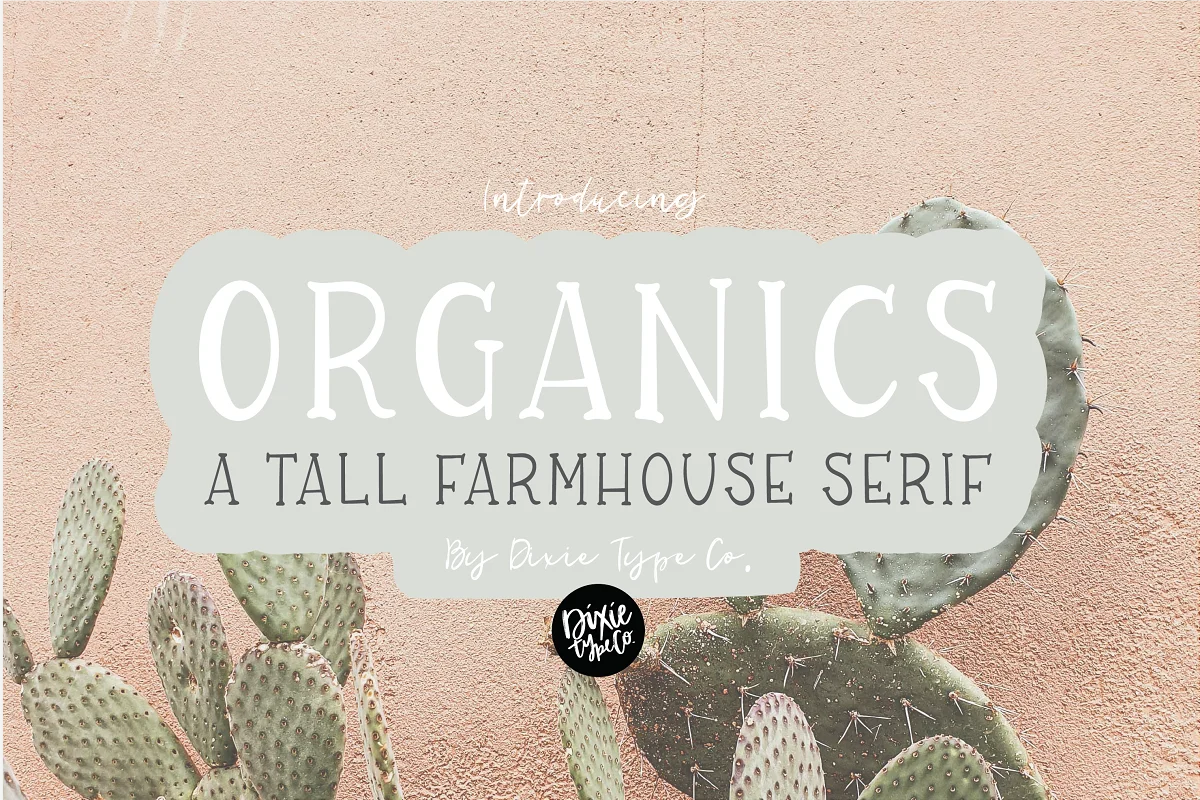 Organics a Farmhouse Serif Font