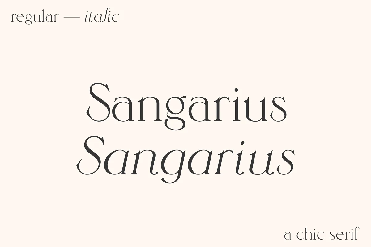 Sangarius A Chic Serif Typeface Font