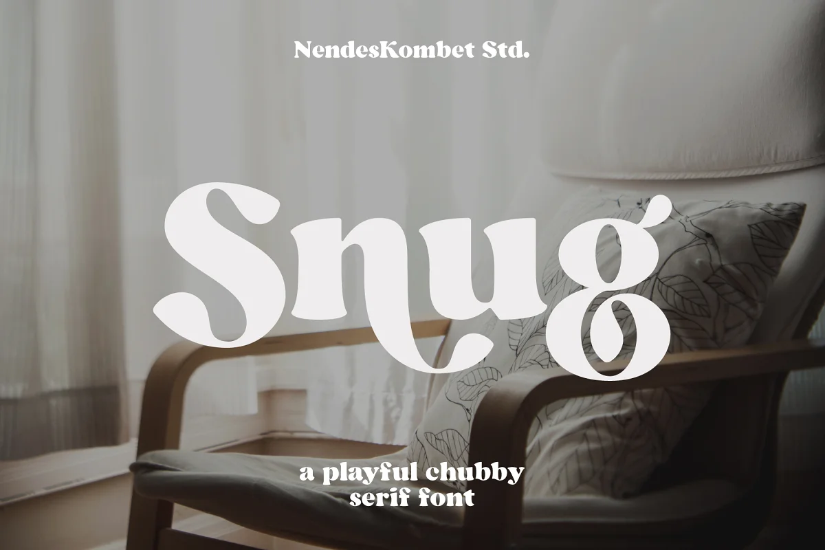 Snug Playful Chubby Serif Font