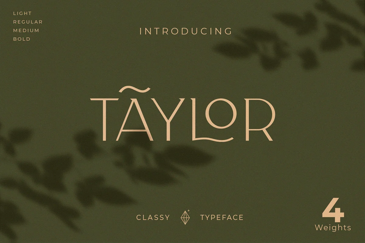 Classy Taylor Typeface Font