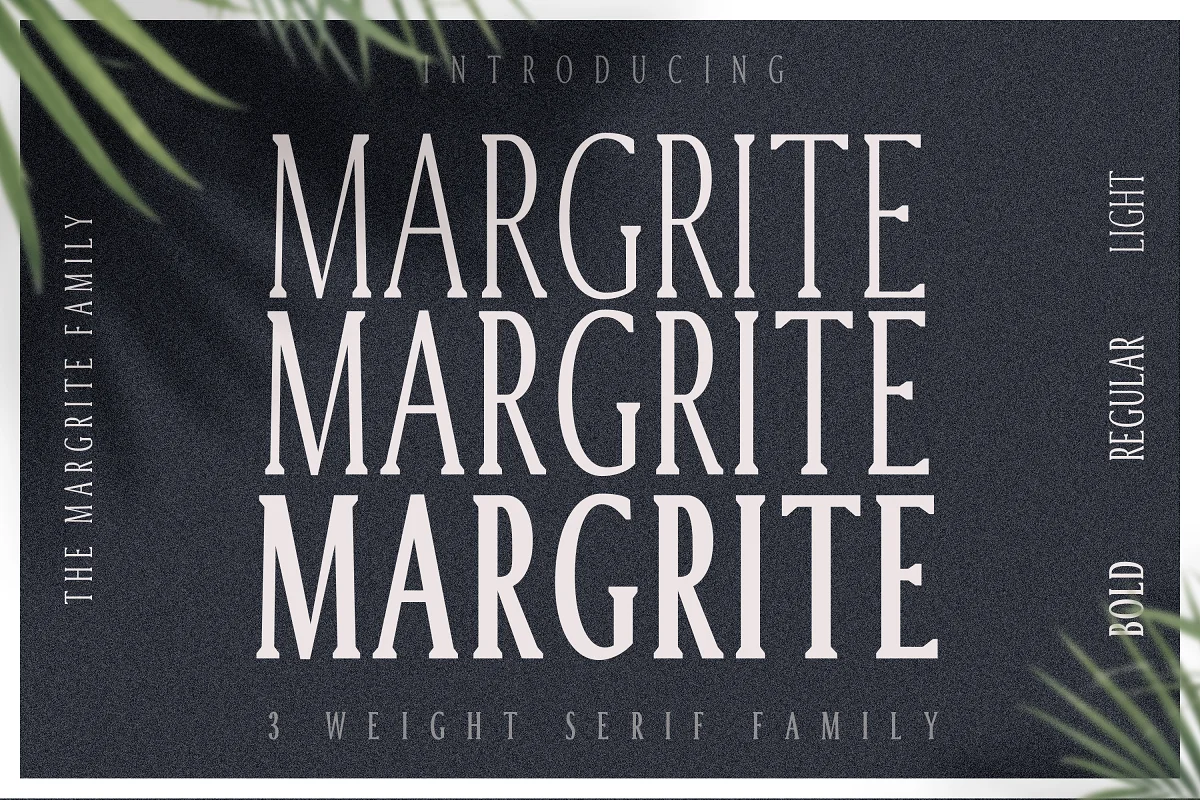 Margrite Tall Serif Font