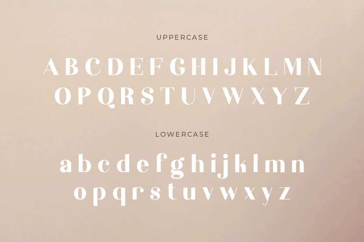 elouise serif font cm 2 - Post