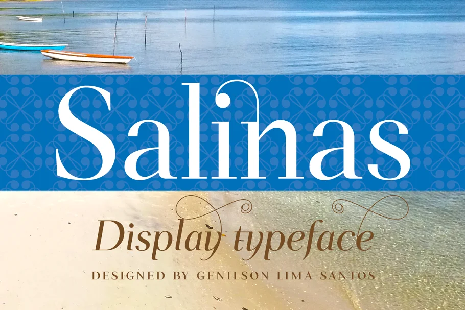 Salinas Font