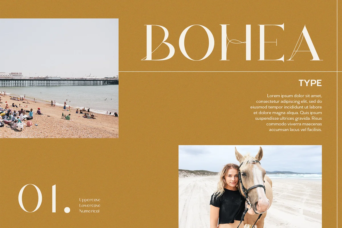 Bohea Type Modern Serif Font