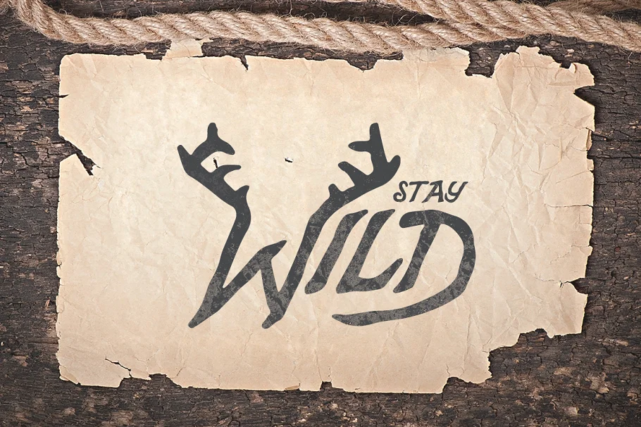 stay wild - Post