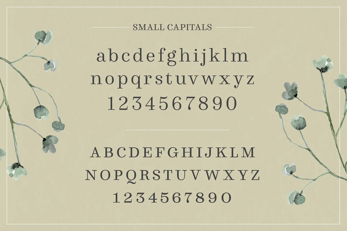 About the Winslow Book Regular Font  Winslow Book Regular is a playfully modern typeface duo. Delicate features give it a playful feel while keeping