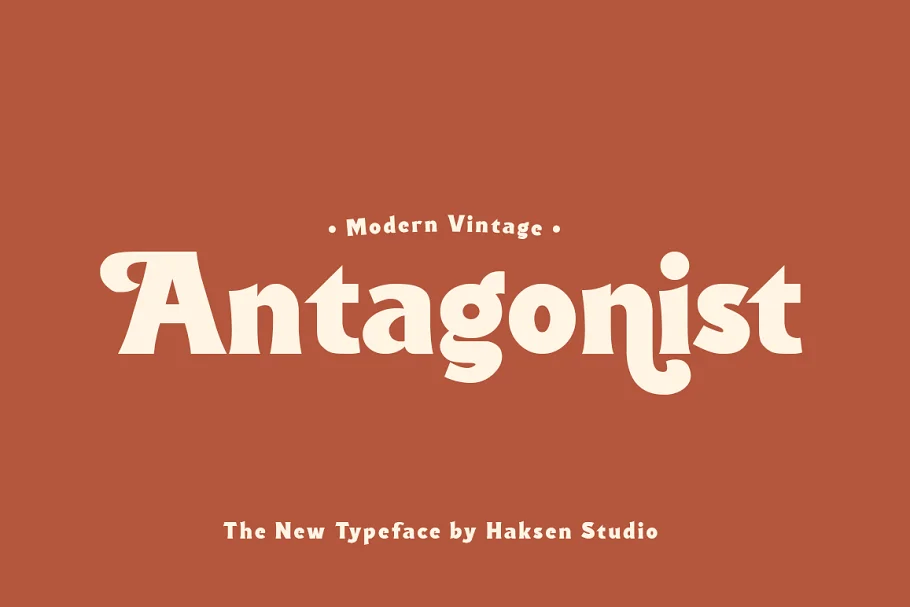 Antagonist Casual Bold Serif Font