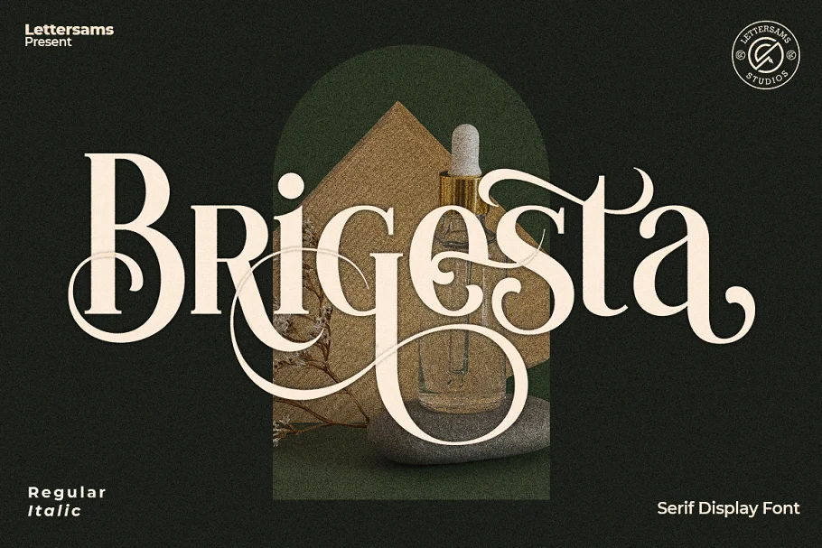 Brigesta Serif Display Font