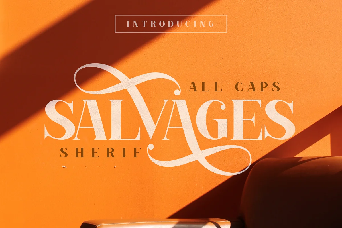 Salvages Bold Serif Font