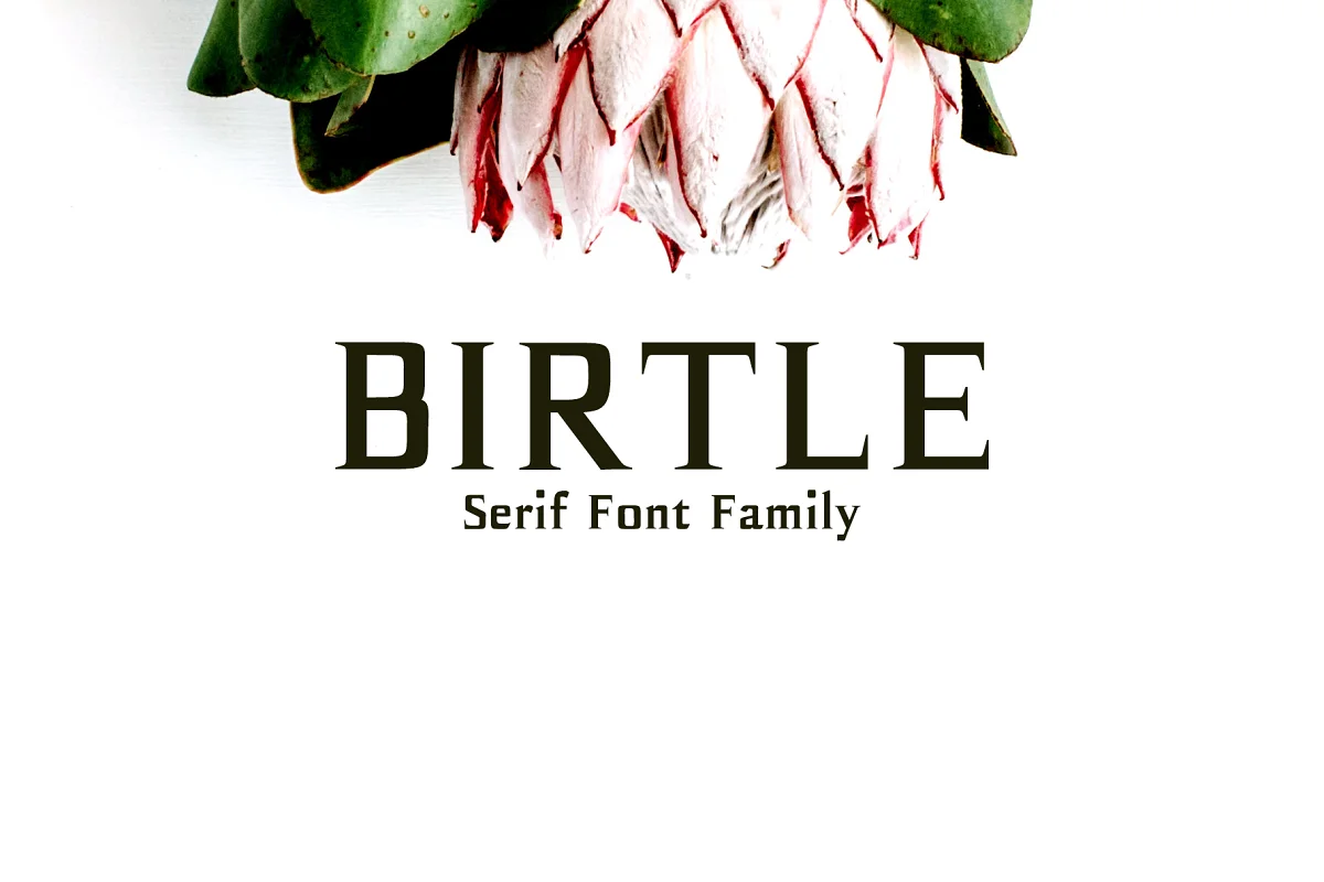 Birtle Serif 3 Font