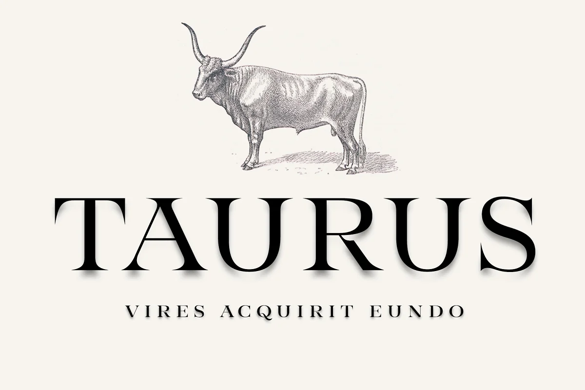 Taurus High Class Serif Font