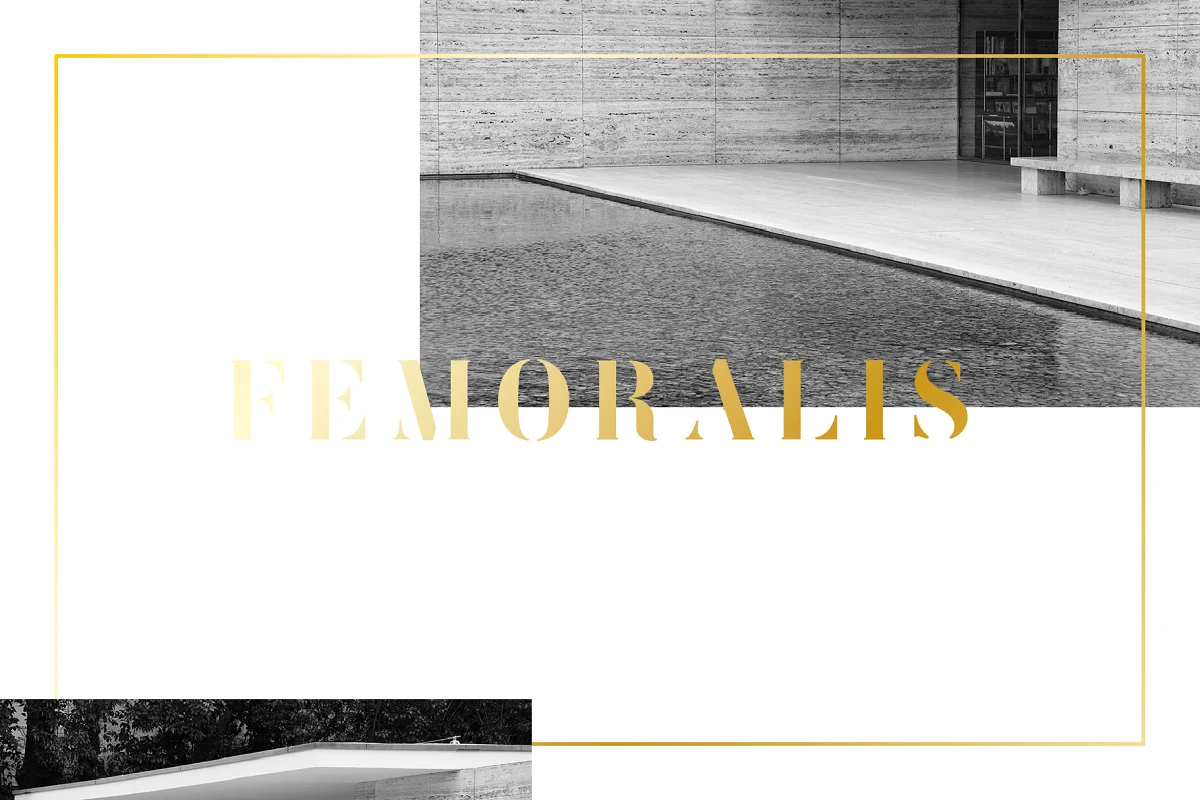 Femoralis Elegant Stencil Font