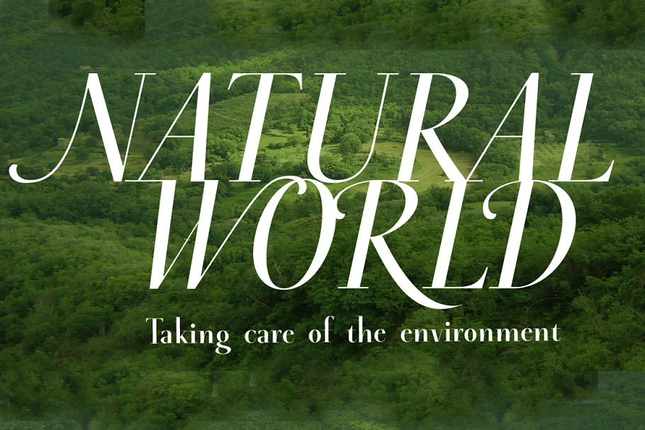 Palio Font Family Free Download p03 - Post