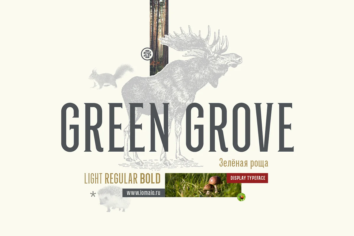 Green Grove 3 Font