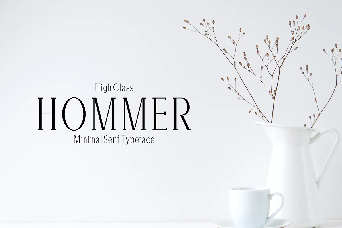 Hommer Minimal Serif Font