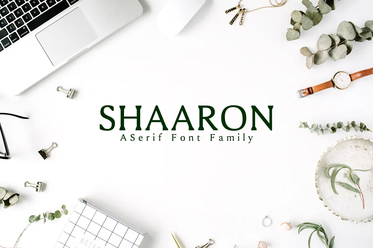 Shaaron A New Serif 2 Font