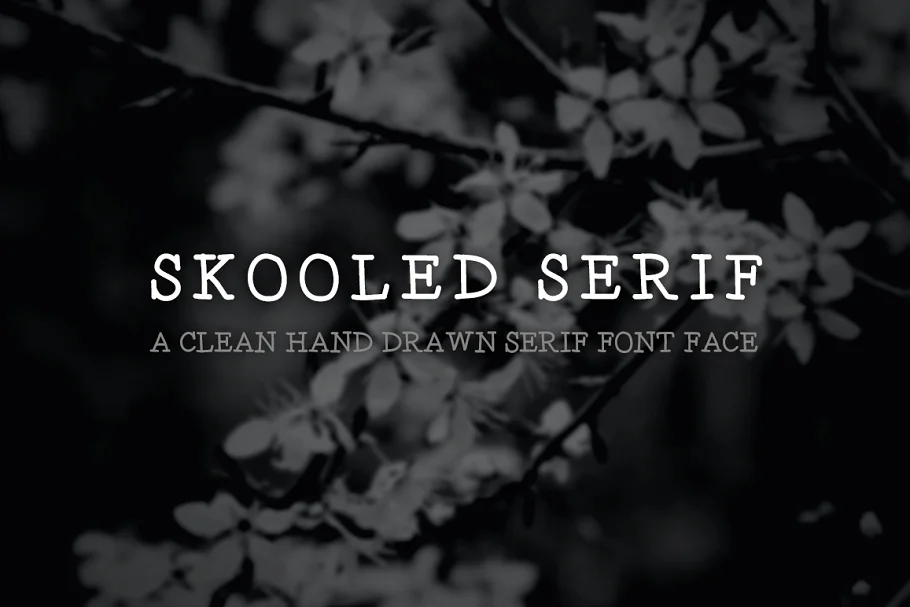 Skooled Serif Font