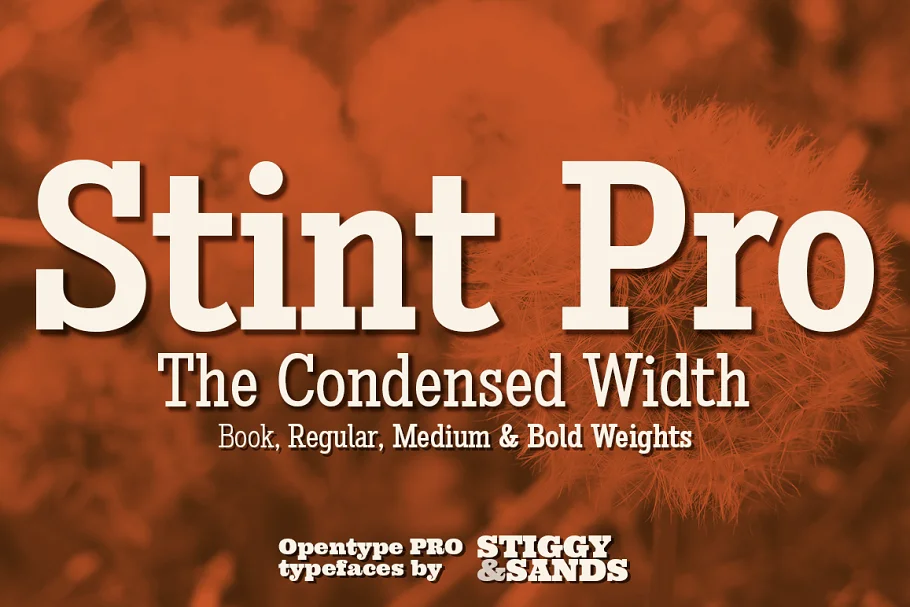 Stint Condensed Pro Font