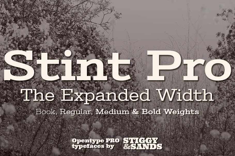 Stint Expanded Pro Font