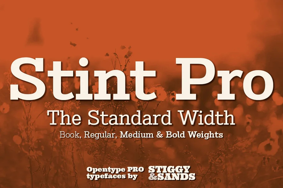 Stint Pro Font