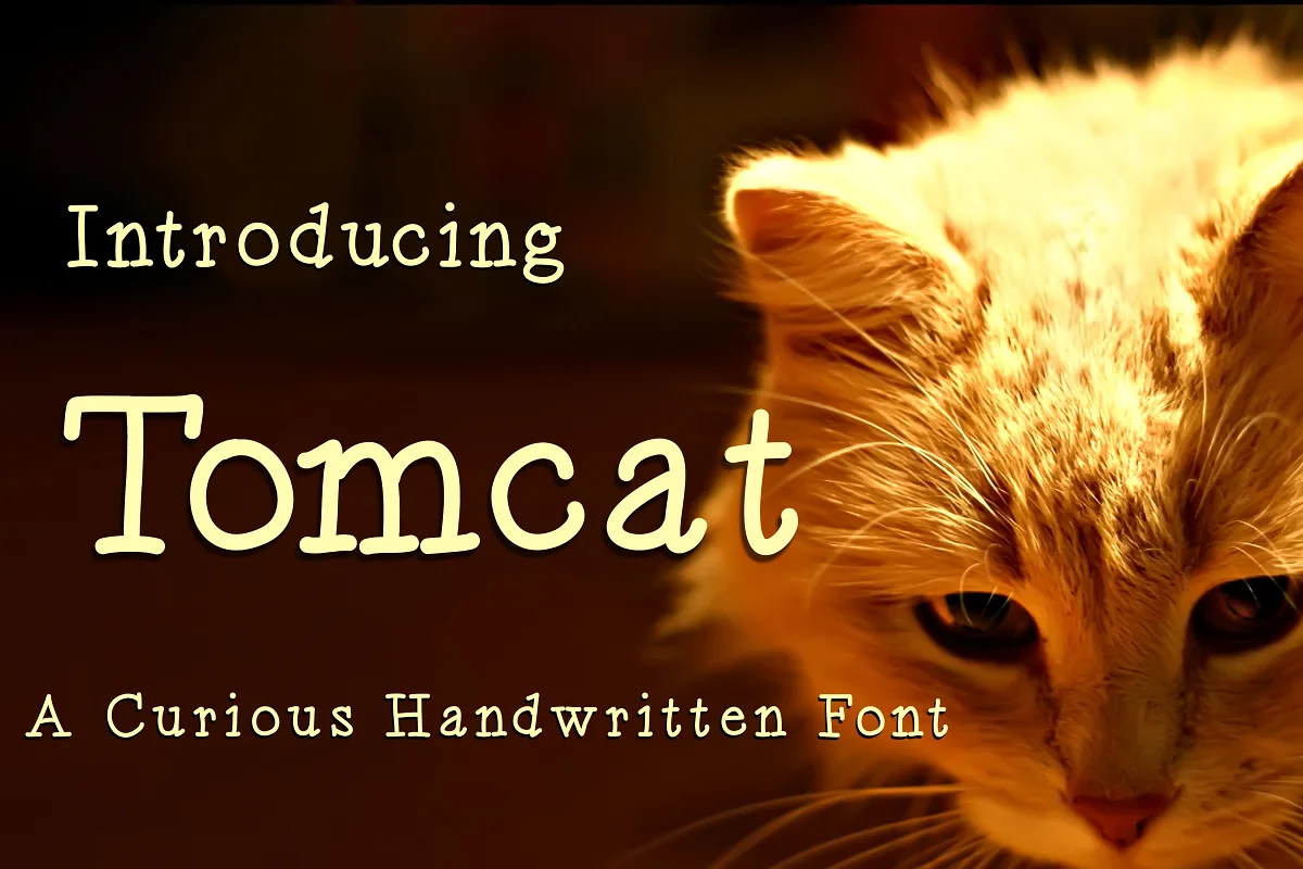 Tomcat Font