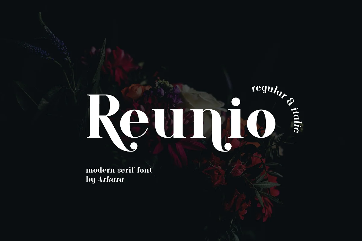 ARK Reunio Modern Serif Font