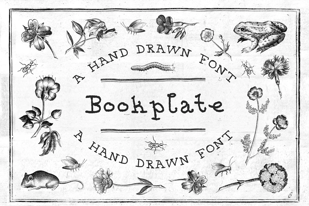 Bookplate A Hand Drawn Font