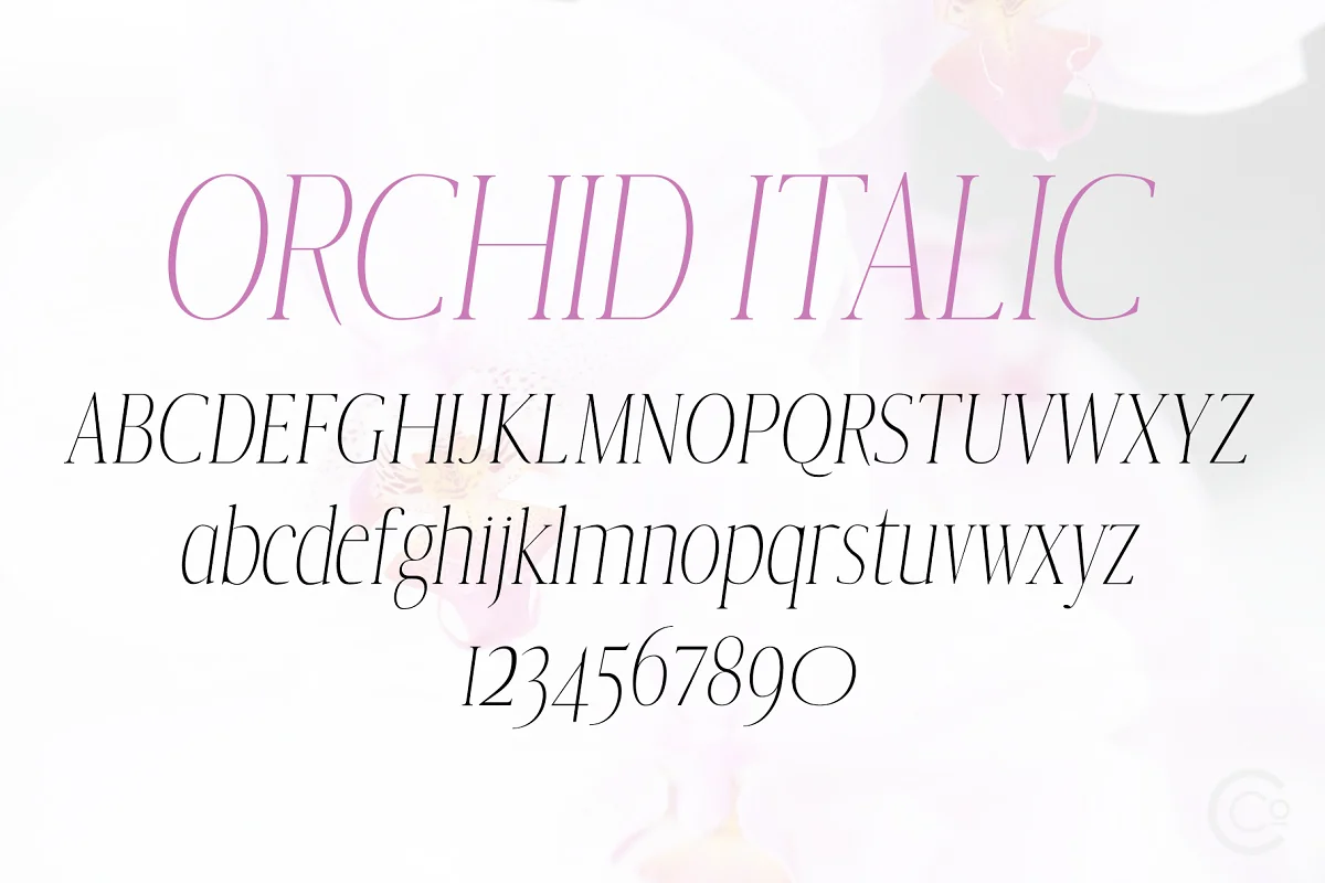 orchid italic cribbco - Post