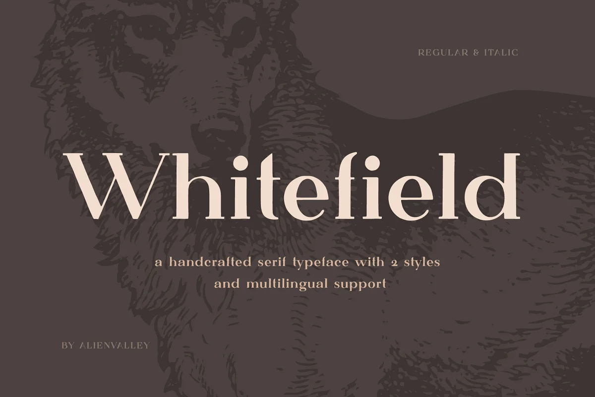 Whitefield Handcrafted Serif Font