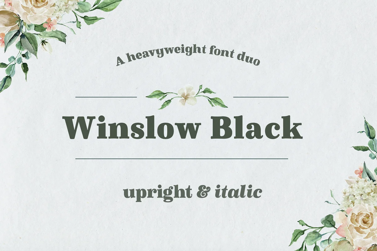 Winslow Book Black Font