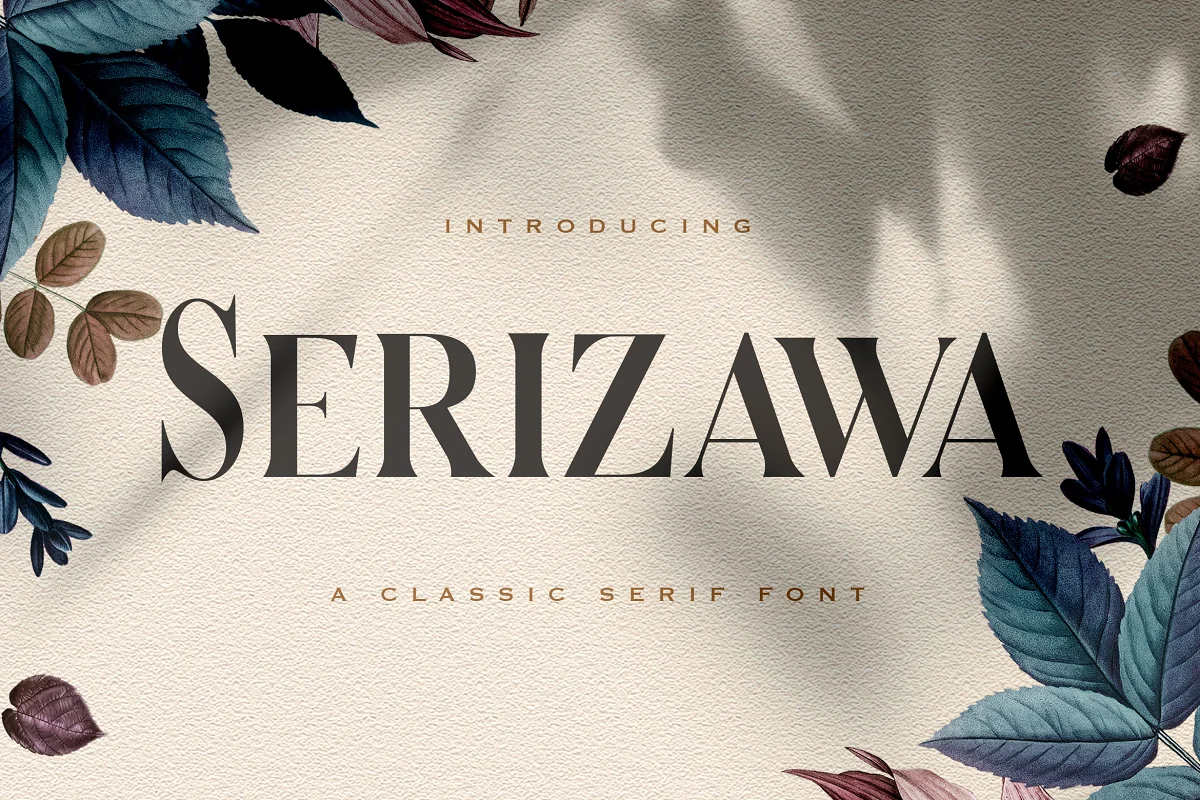 Serizawa Classic Serif Font