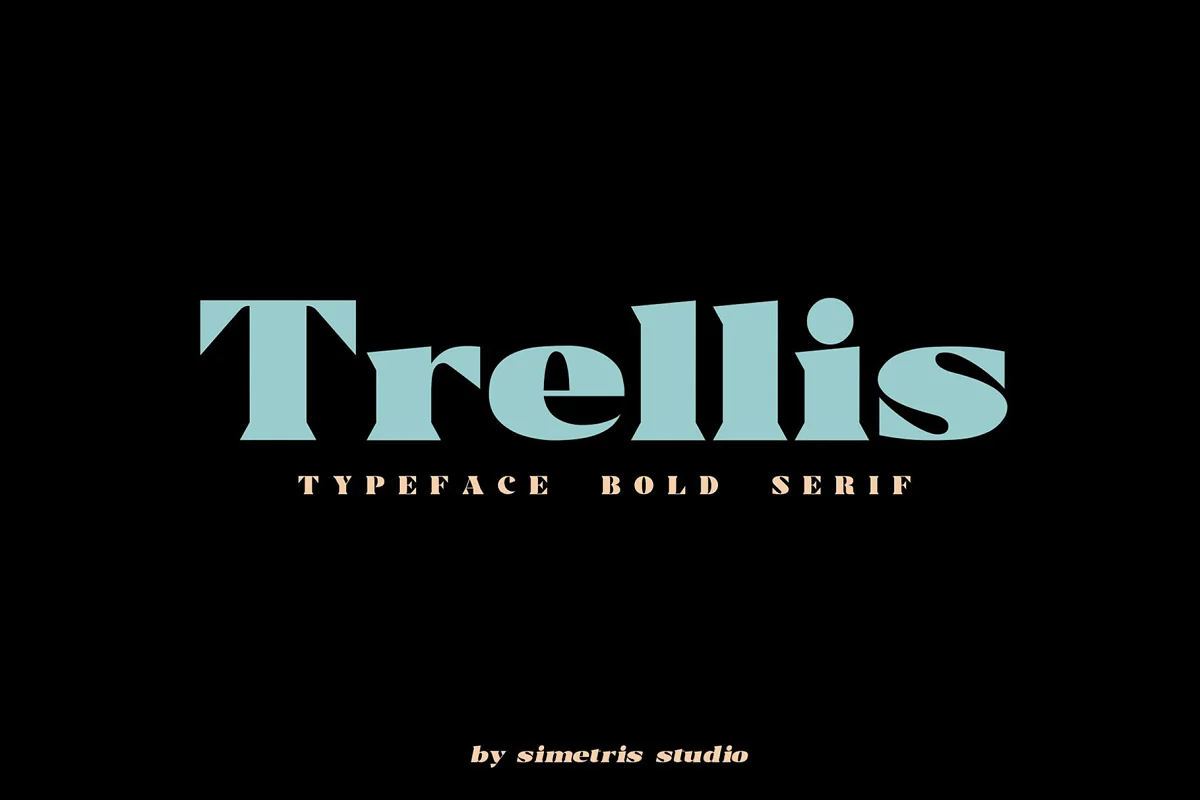 Trellis Typeface Bold Serif Font