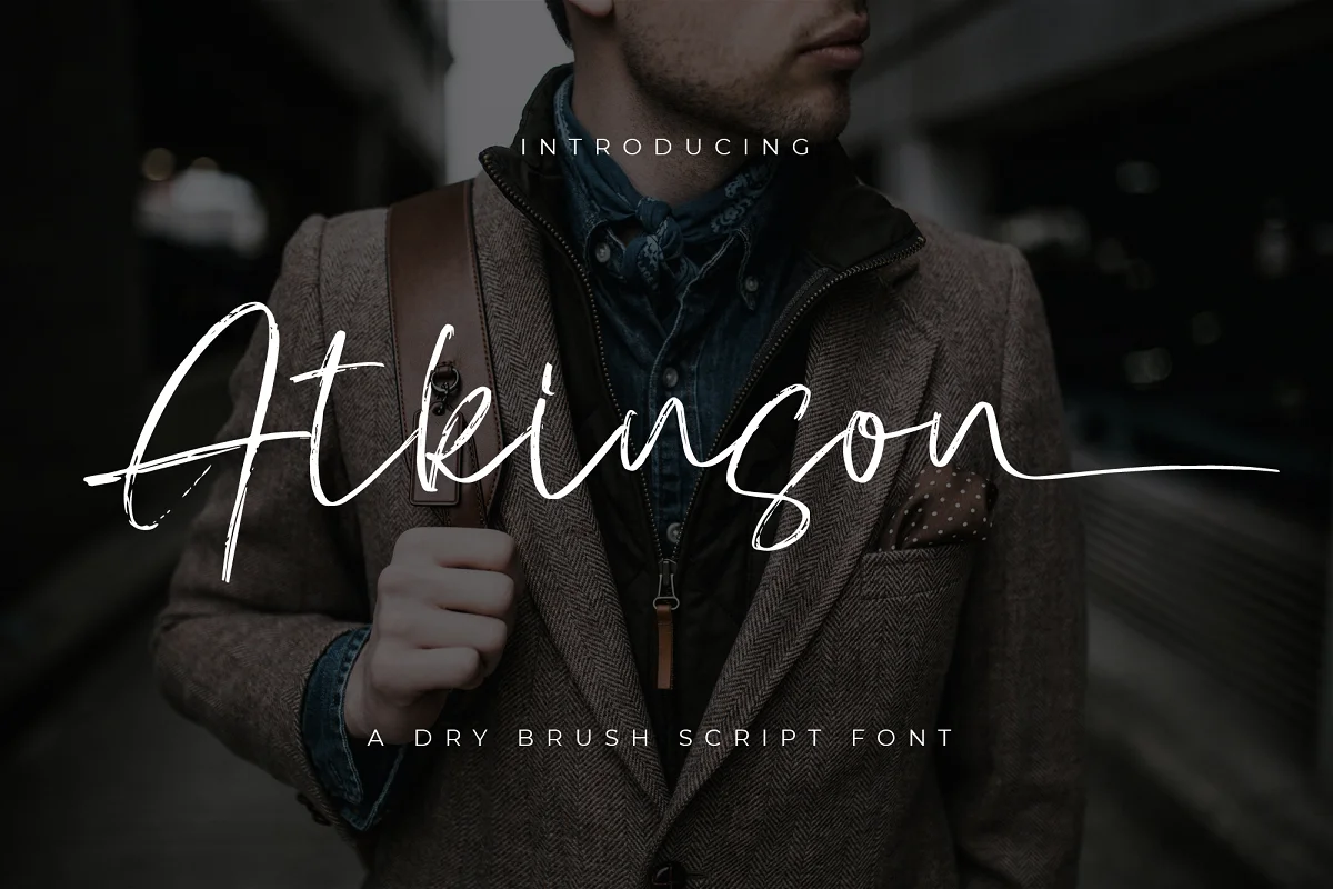 Atkinson Font